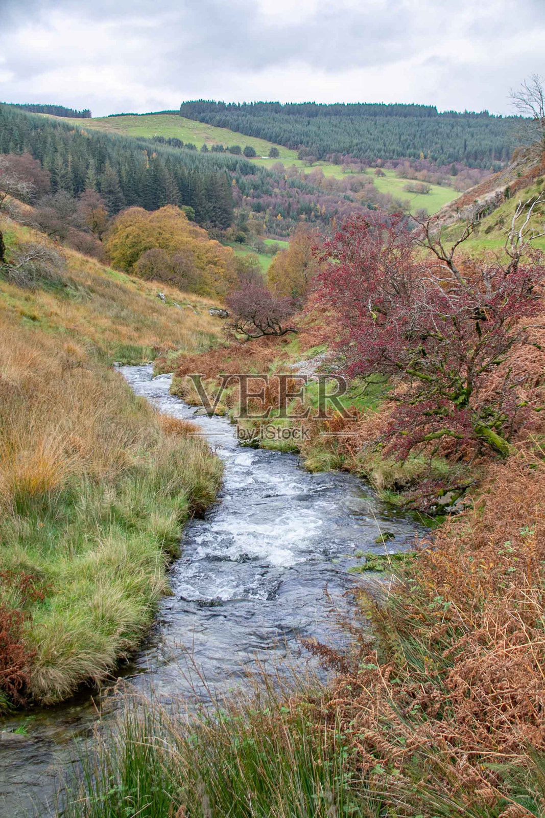 英国威尔士波伊斯的一条小溪在乡村山谷中翻滚照片摄影图片