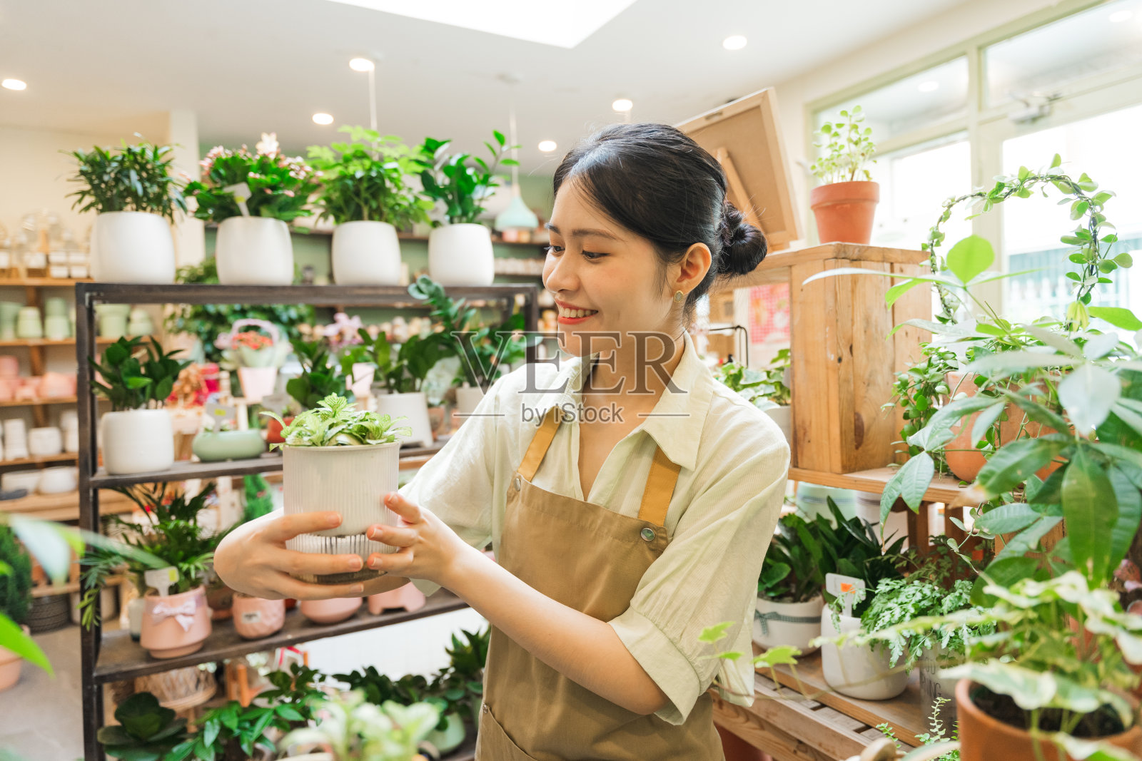 在植物店工作的亚洲妇女的肖像照片摄影图片