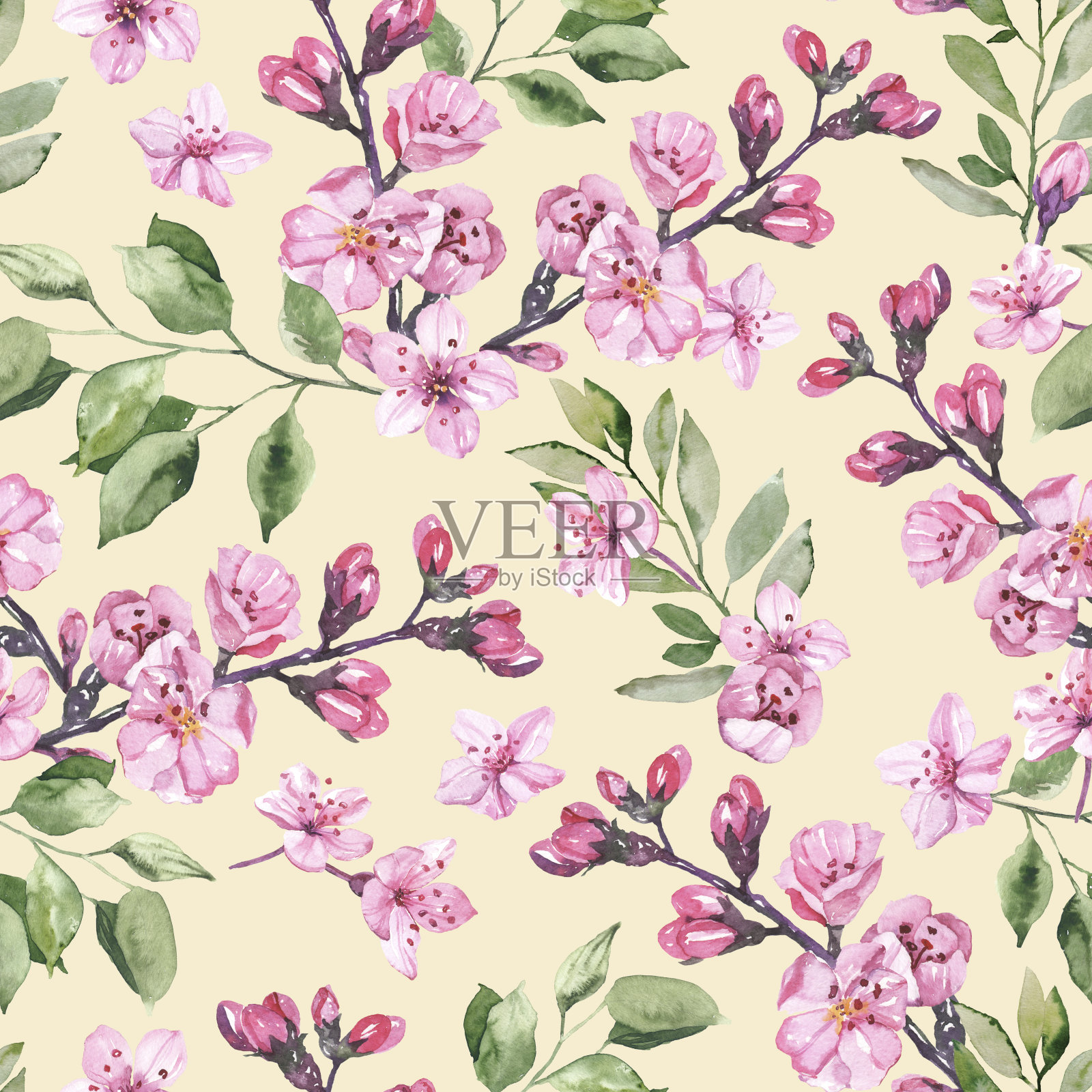 水彩手绘樱花樱花插图无缝图案插画图片素材