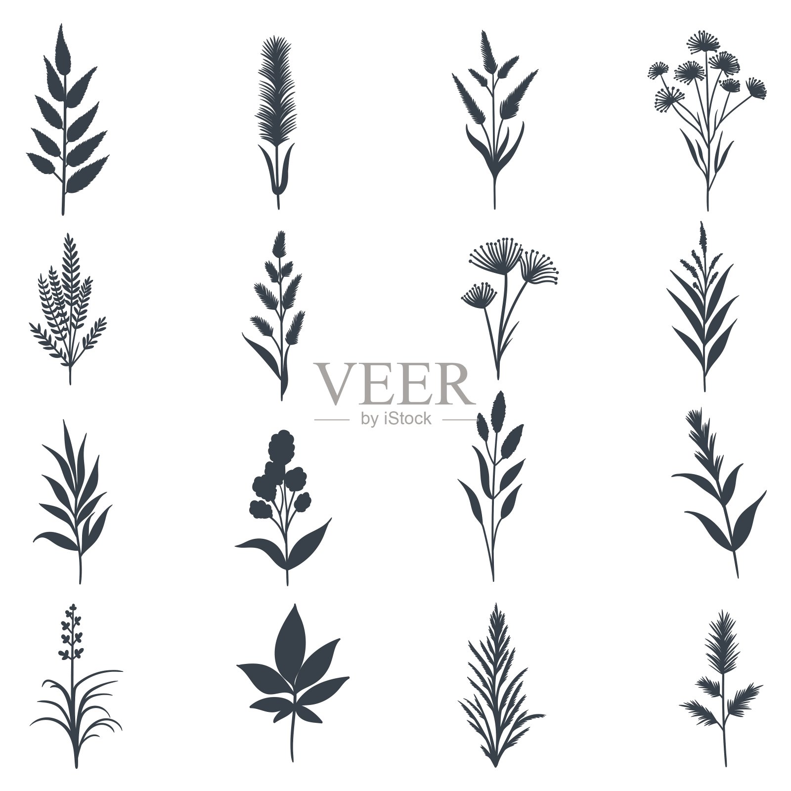 植物元素集合向量插图插画图片素材