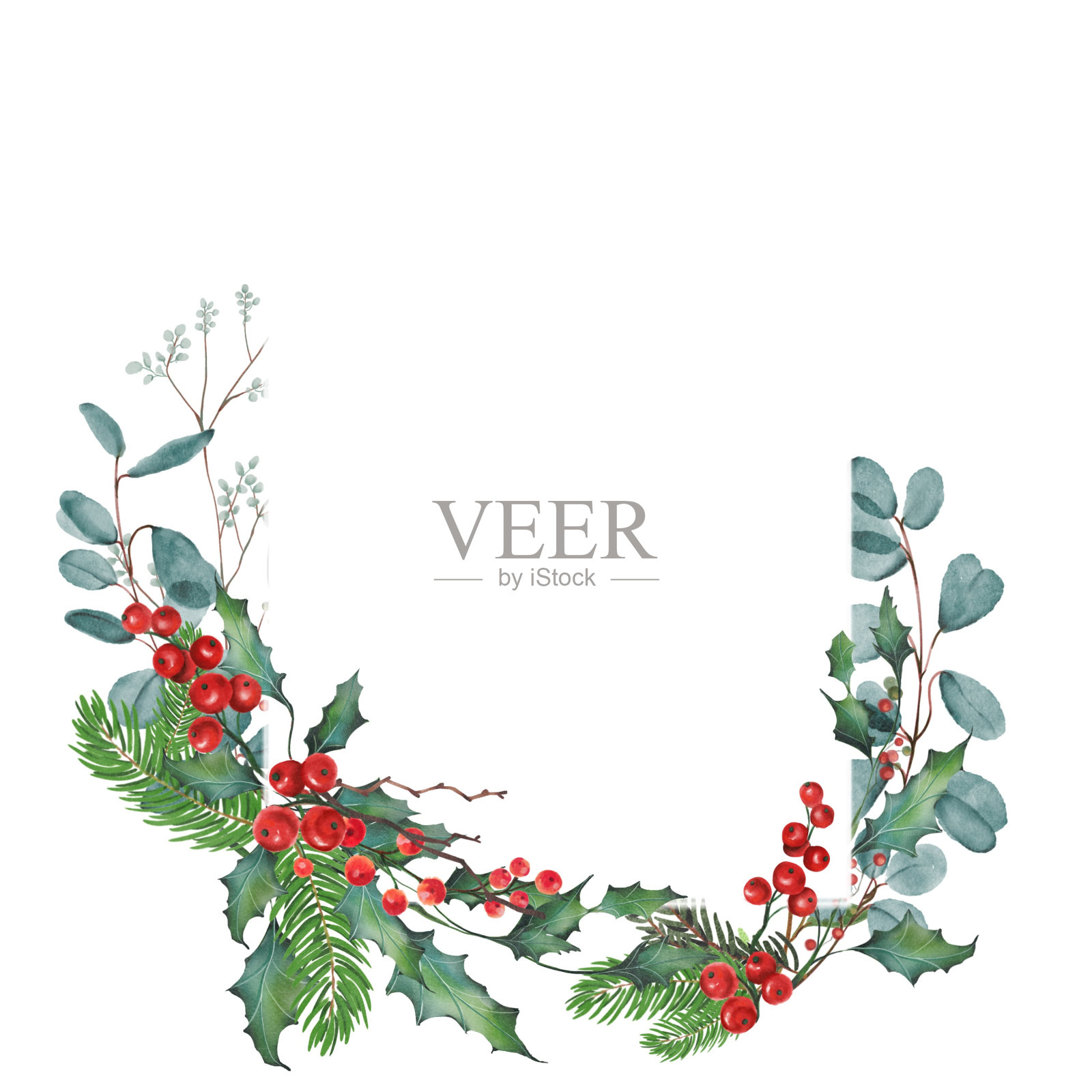 圣诞框架与冬青浆果装饰叶插画图片素材