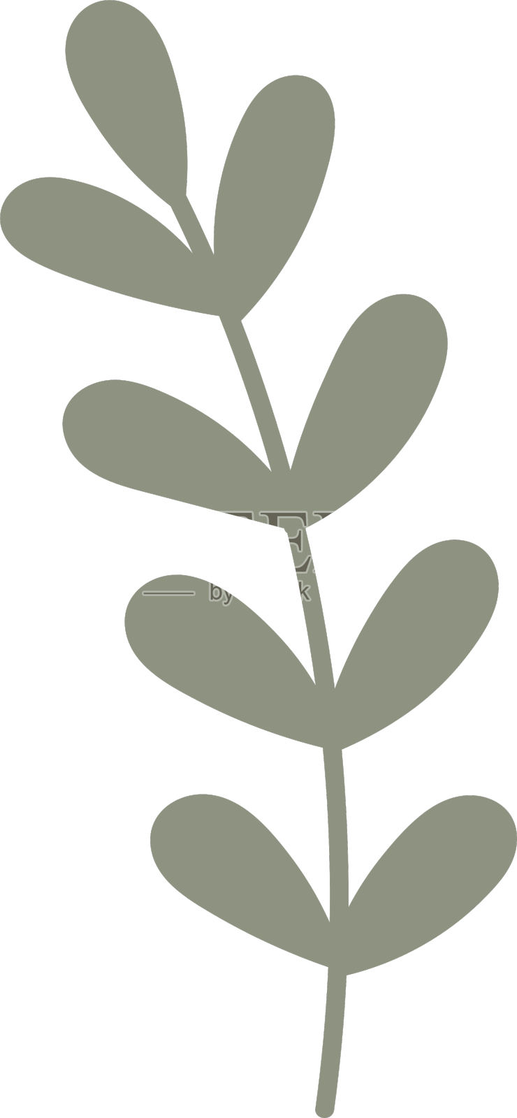 带叶的花枝设计元素图片