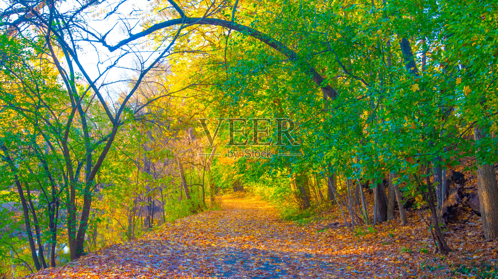 树叶覆盖的一条车道的河流在秋天-霍华德县，印第安纳州照片摄影图片