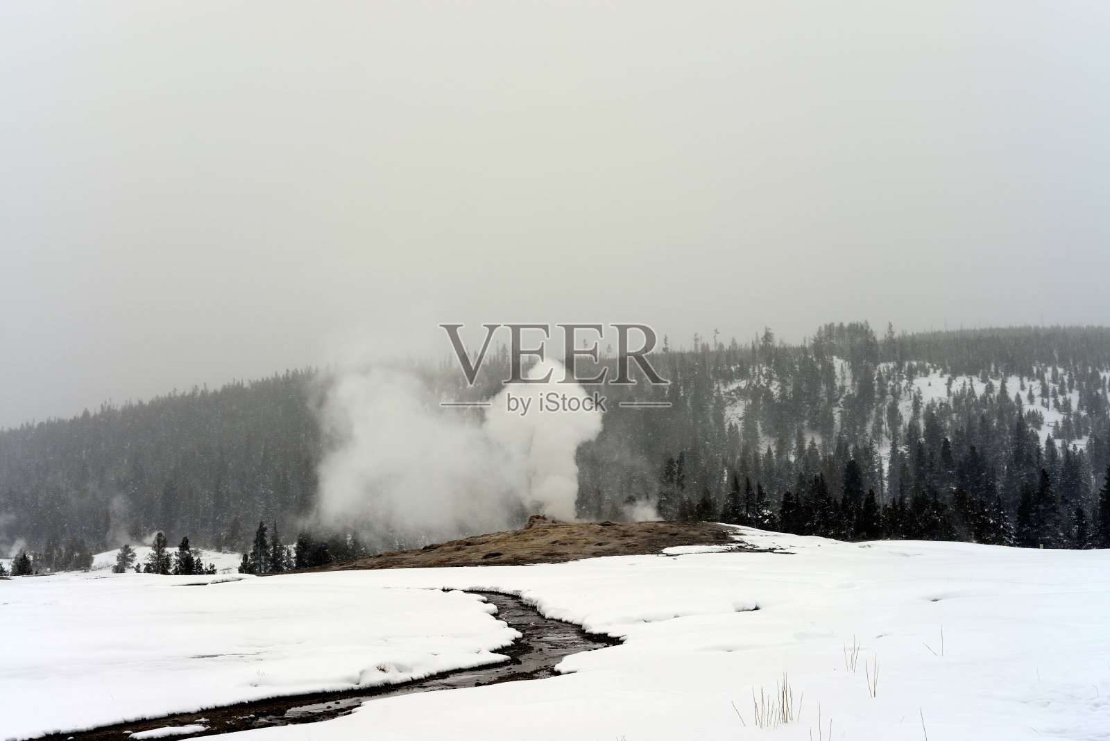 老忠实间歇泉正在喷发照片摄影图片