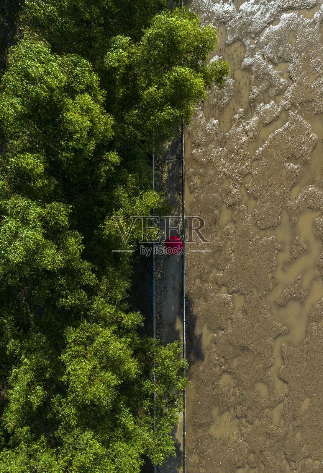 摘要航拍的红色雨伞在红树林中间，Soc Trang省照片摄影图片
