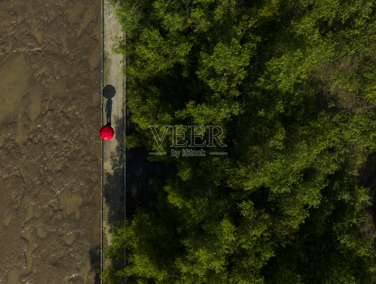 摘要航拍的红色雨伞在红树林中间，Soc Trang省照片摄影图片