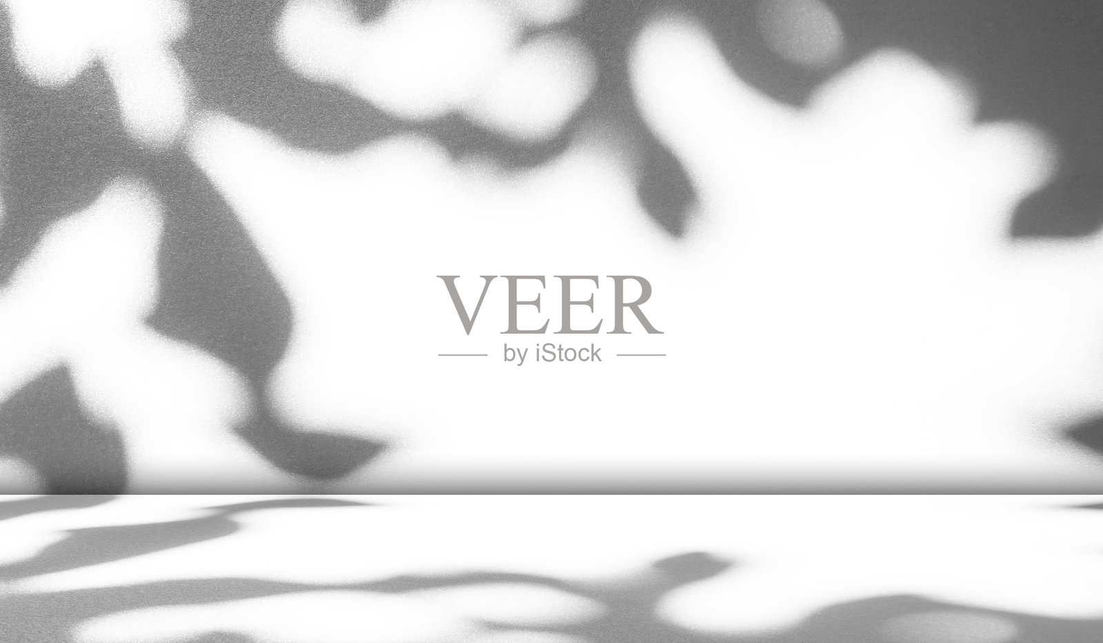 背景光影白墙抽象灰色最小的产品房间从窗户的叶子最小的摄影现代叠加模型展示地板厨房墙混凝土3d Bg水泥背景。照片摄影图片