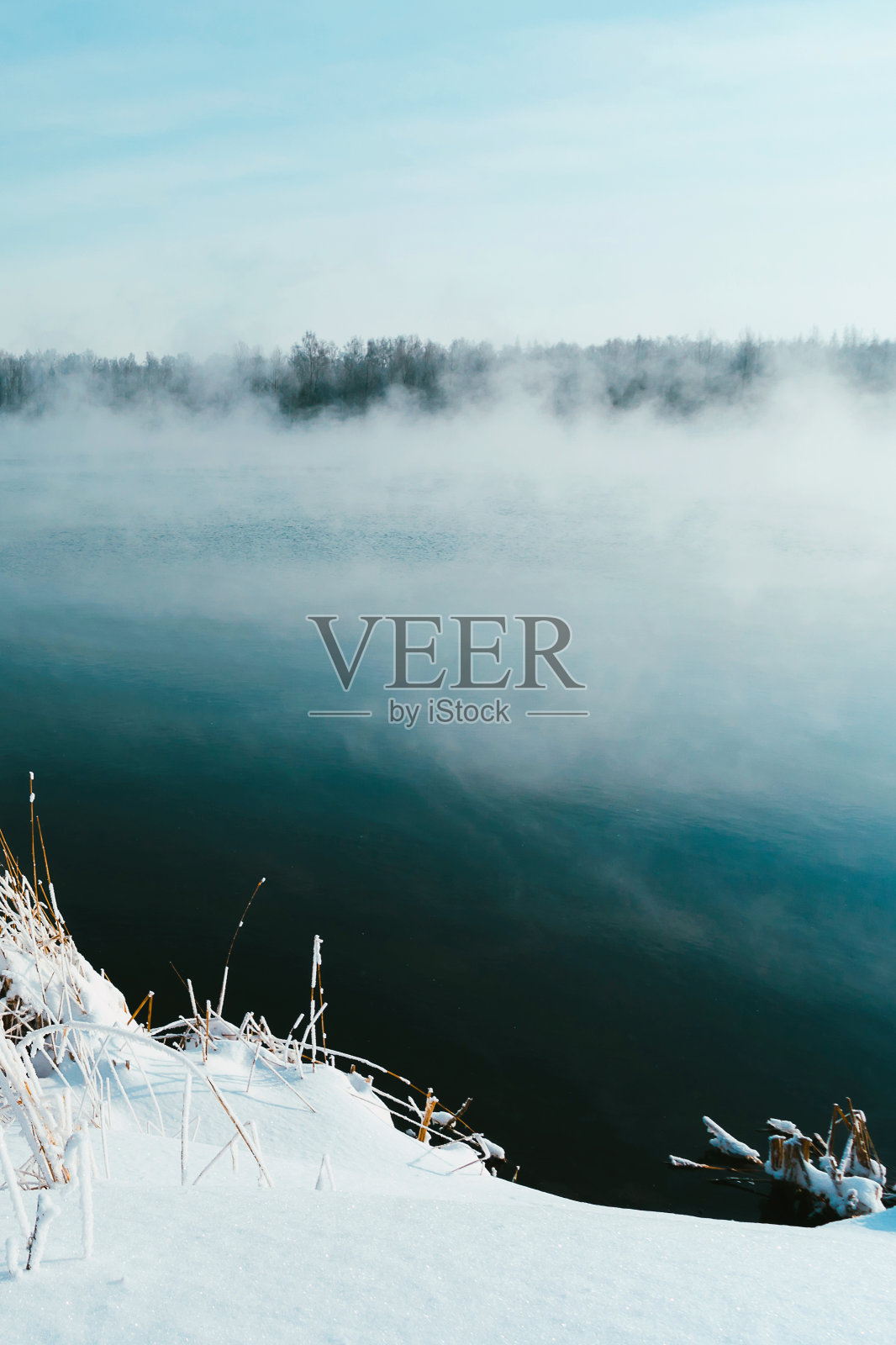 雪后的公园河面树木和霜冻的草地照片摄影图片