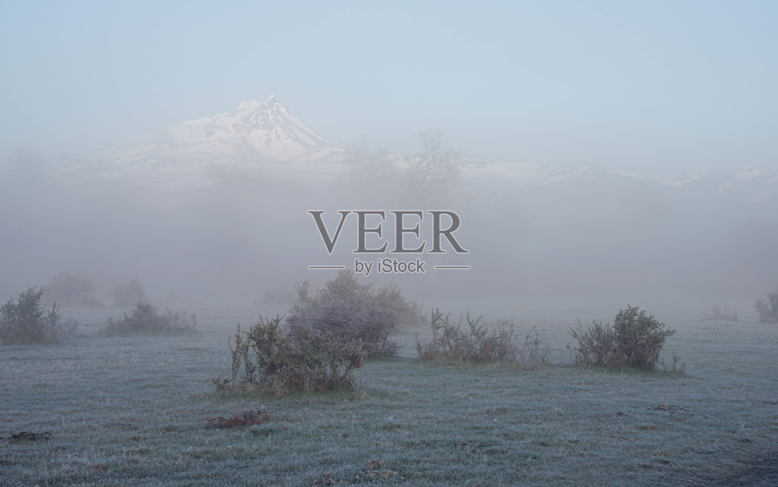 雾中的田野。在寒冷的冬天早晨，草地上结了冰。覆盖着白霜的草地。智利托雷斯德尔潘恩国家公园。照片摄影图片