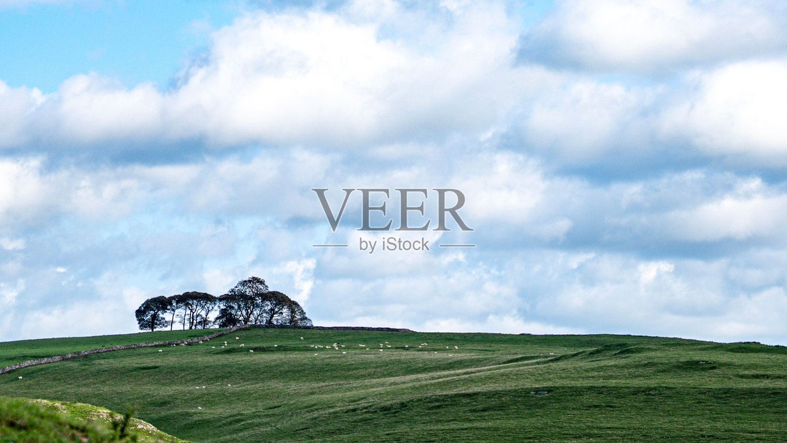 令人惊叹的景观，郁郁葱葱的青山和树木在阴天照片摄影图片