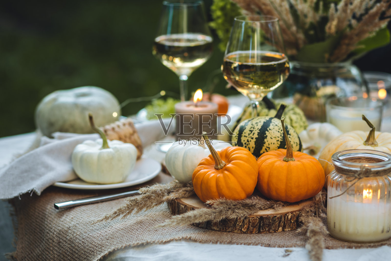 舒适的秋季餐桌装饰感恩节家庭晚餐或浪漫的秋季户外婚礼用小南瓜，蜡烛。白葡萄酒。田园风格，村舍内核，环境优美典雅照片摄影图片
