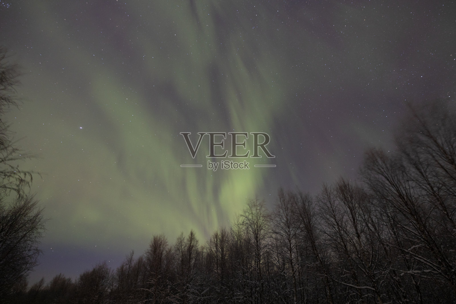 芬兰拉普兰伊瓦洛的雪林上的北极光照片摄影图片