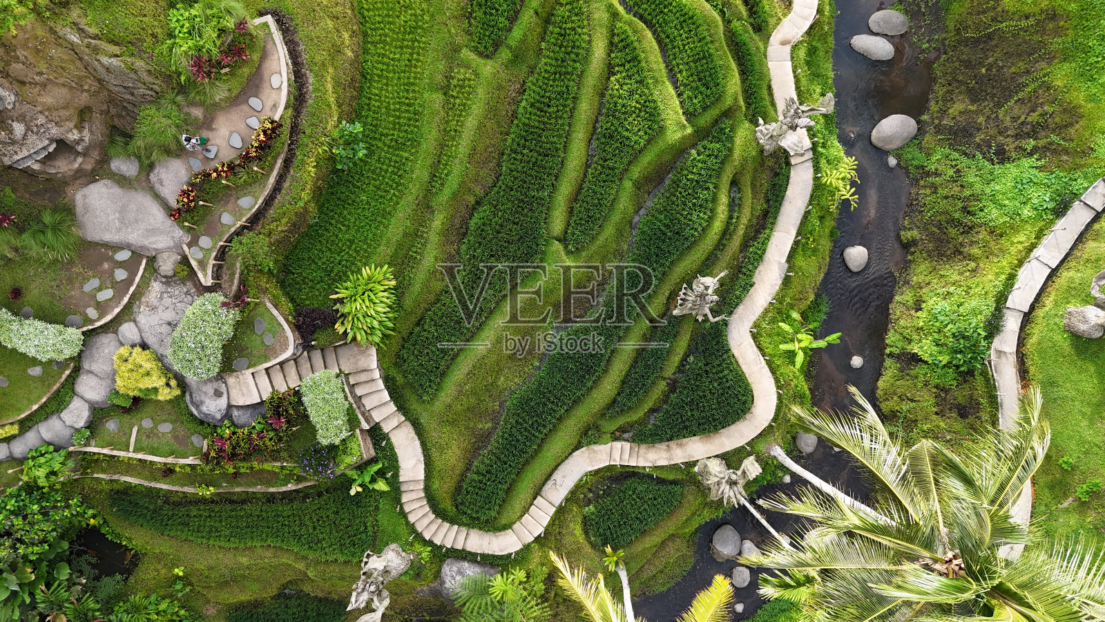 鸟瞰图中的绿色景观有小路和灌木照片摄影图片