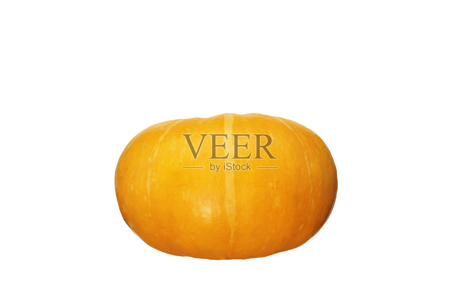 白色背景上的单个橙色南瓜。照片摄影图片