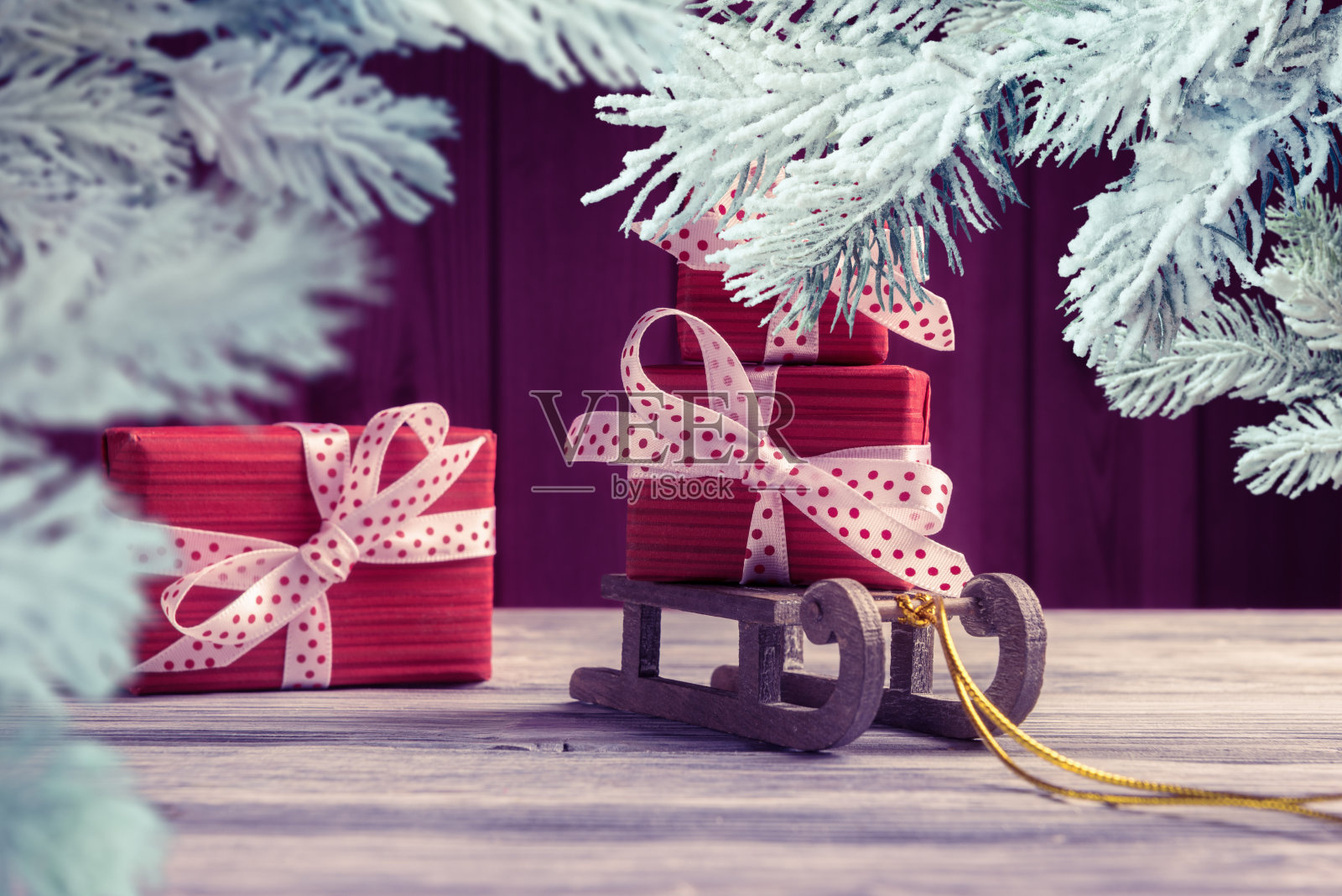 圣诞老人的雪橇上的红色礼盒被结霜的圣诞树树枝框起来。新年和圣诞贺卡照片摄影图片