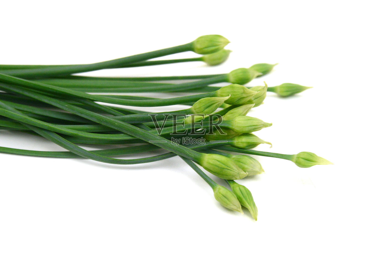 细香葱花孤立在白色背景上。照片摄影图片