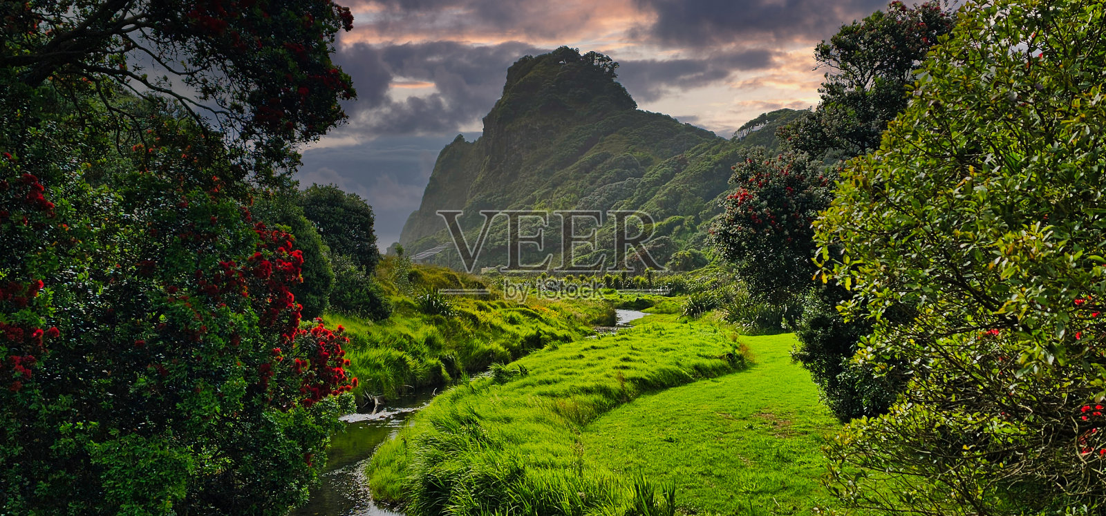 通往卡雷卡海滩的窗口照片摄影图片