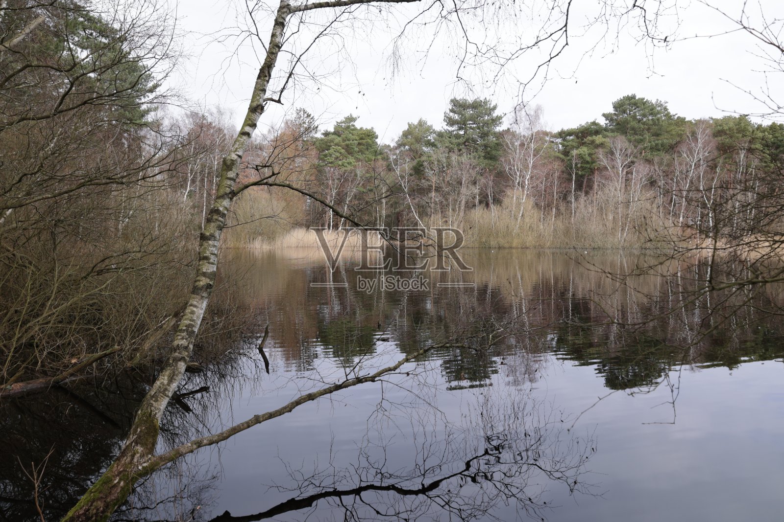 德国北海海岸库克斯港美丽的冬日照片摄影图片