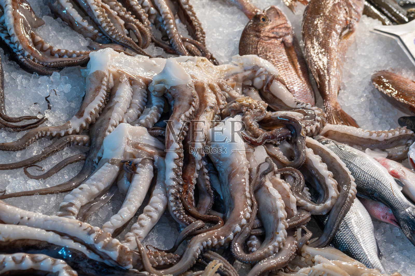 在希腊雅典的海鲜市场，新鲜的生章鱼和鱼躺在冰柜台上。鱼市的开放式货架上有贝类照片摄影图片