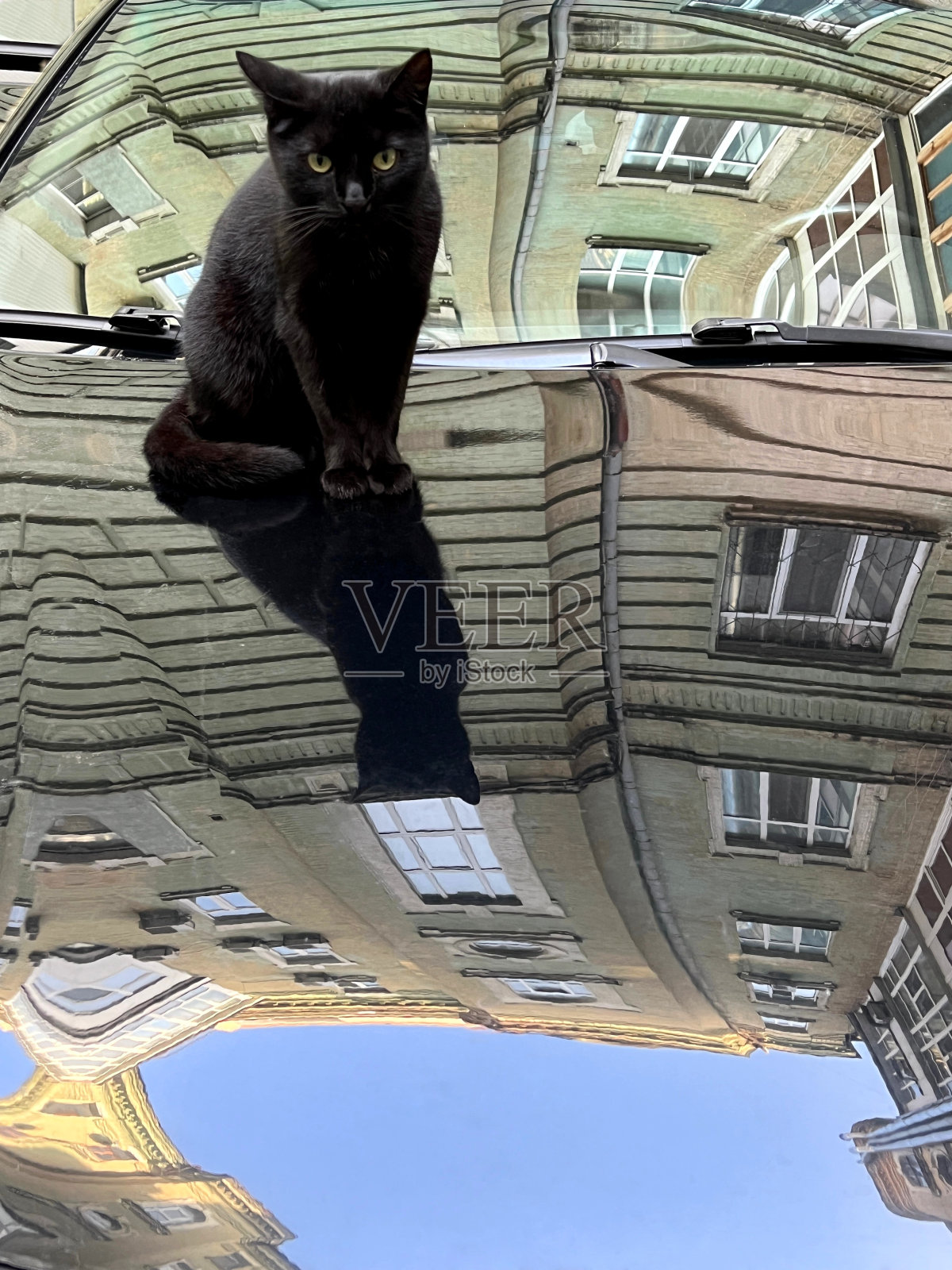 猫坐在汽车的引擎盖上，倒影着建筑物。照片摄影图片