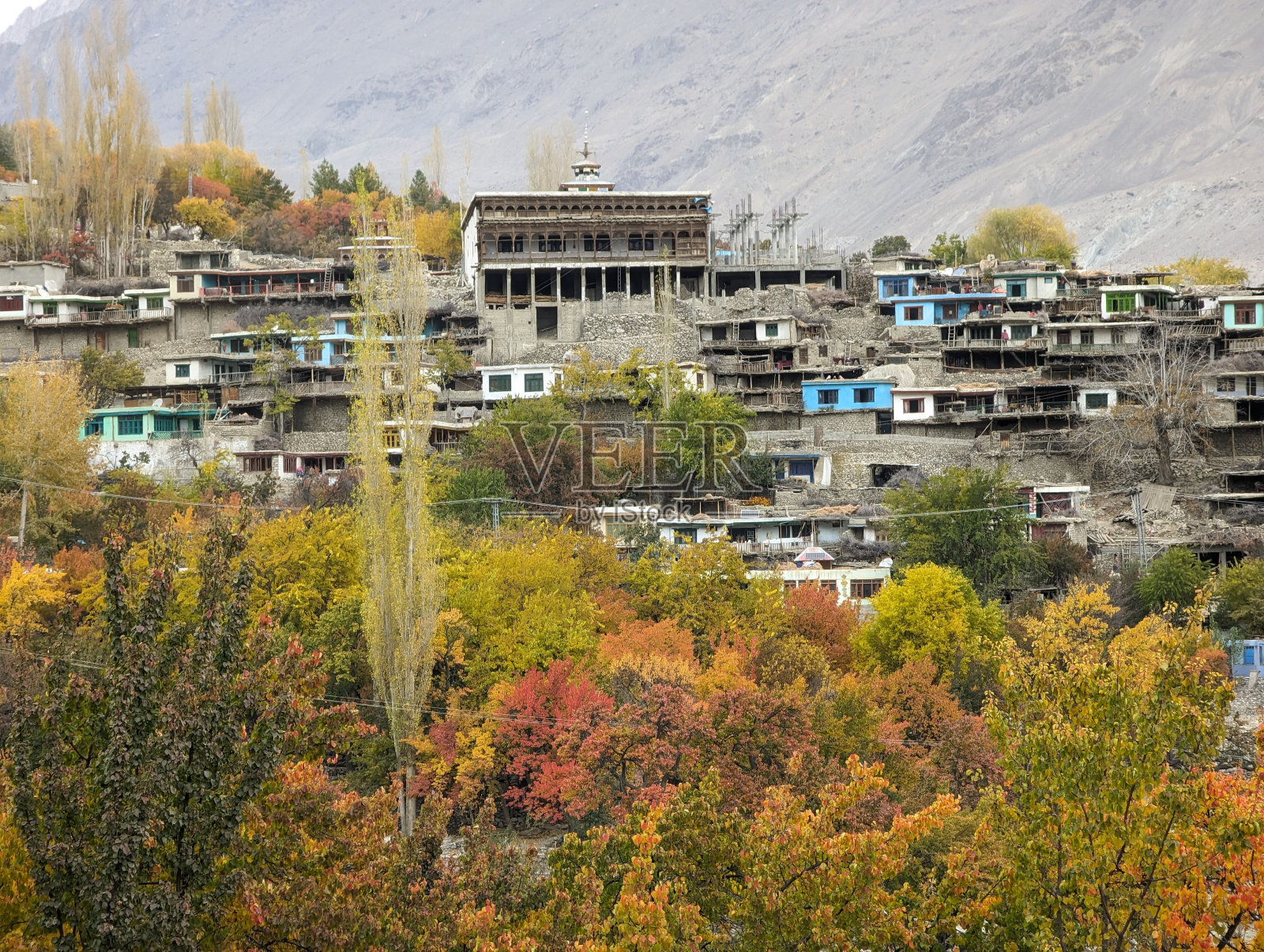 吉尔吉特-巴尔蒂斯坦马赫鲁山谷秋天的色彩照片摄影图片