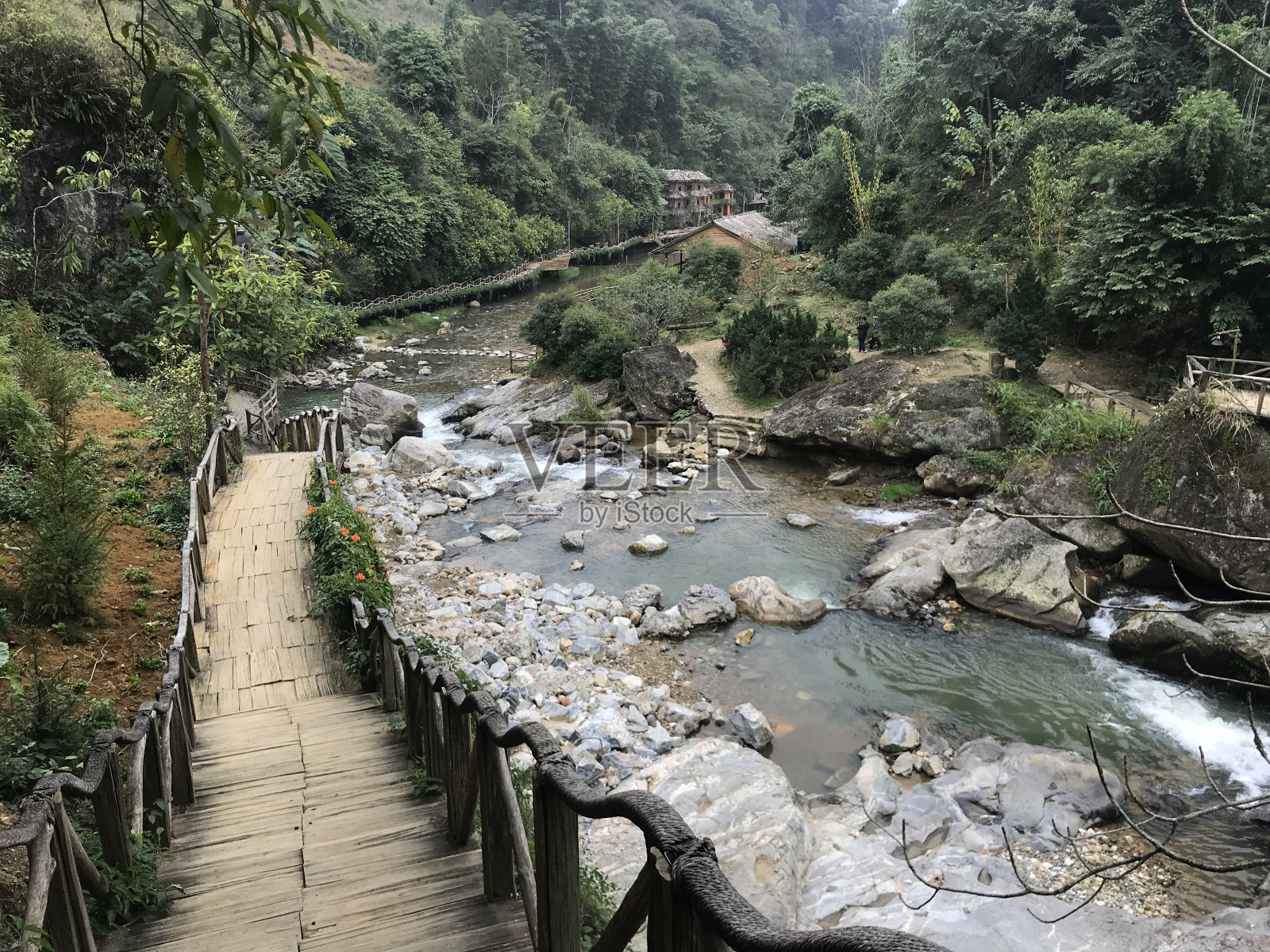 猫猫瀑布照片摄影图片