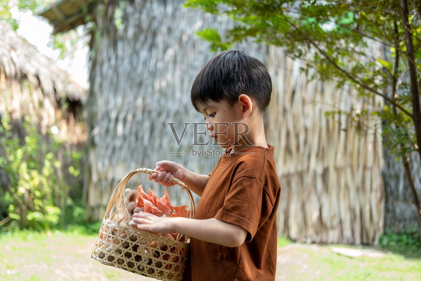 拿着一篮蘑菇的亚洲小男孩照片摄影图片