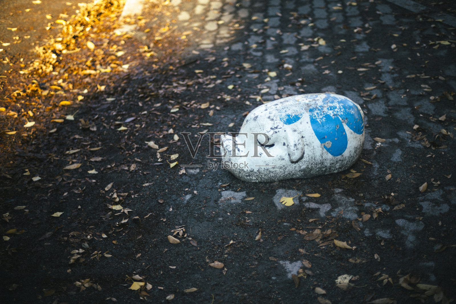 公园户外游乐设备(猪)。照片摄影图片