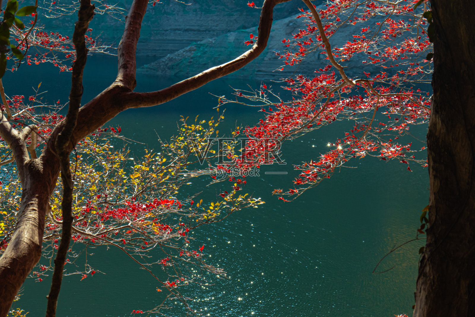秋天的气氛照片摄影图片
