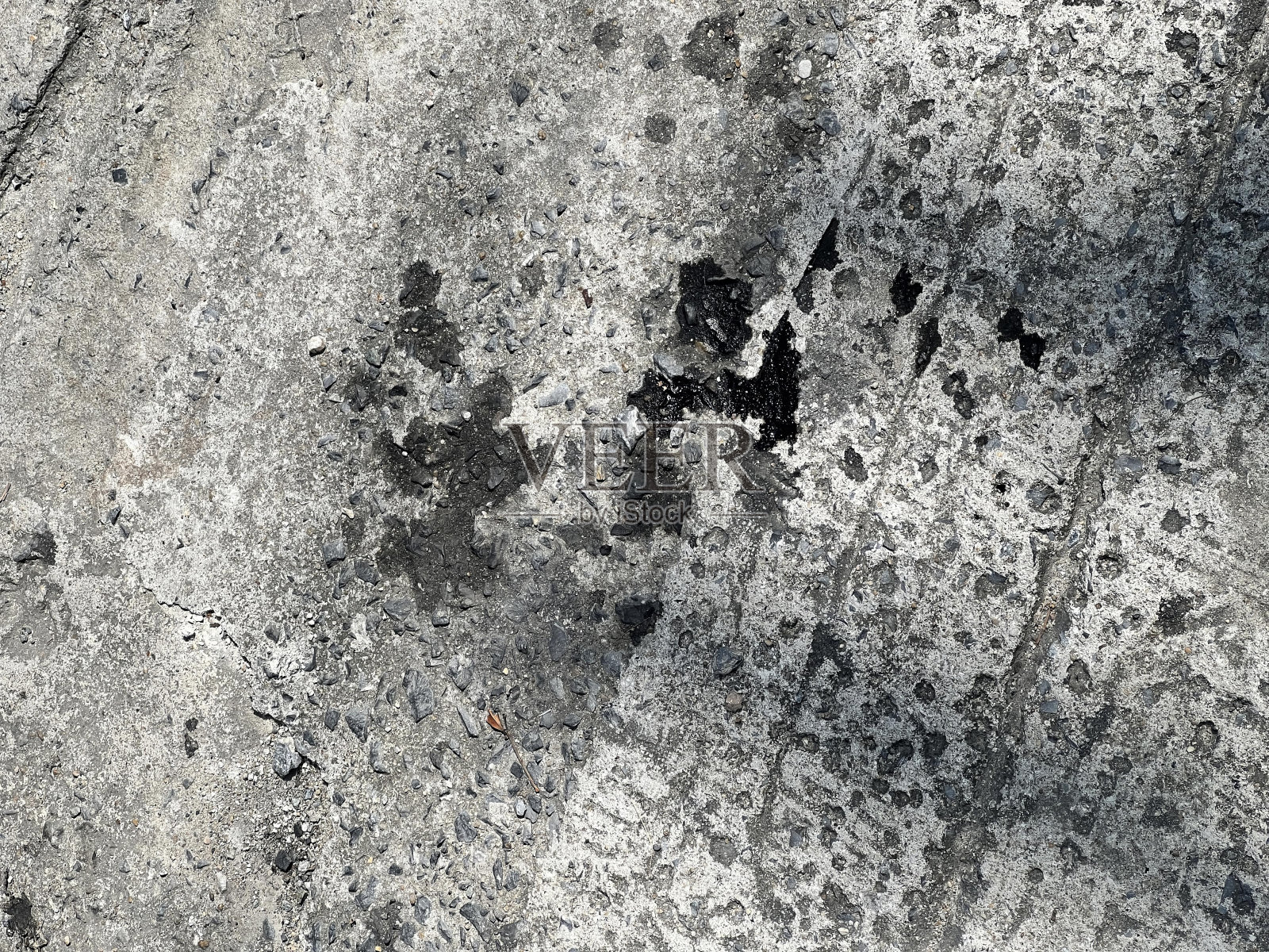 在混凝土表面上拍摄的猫的黑白照片。照片摄影图片