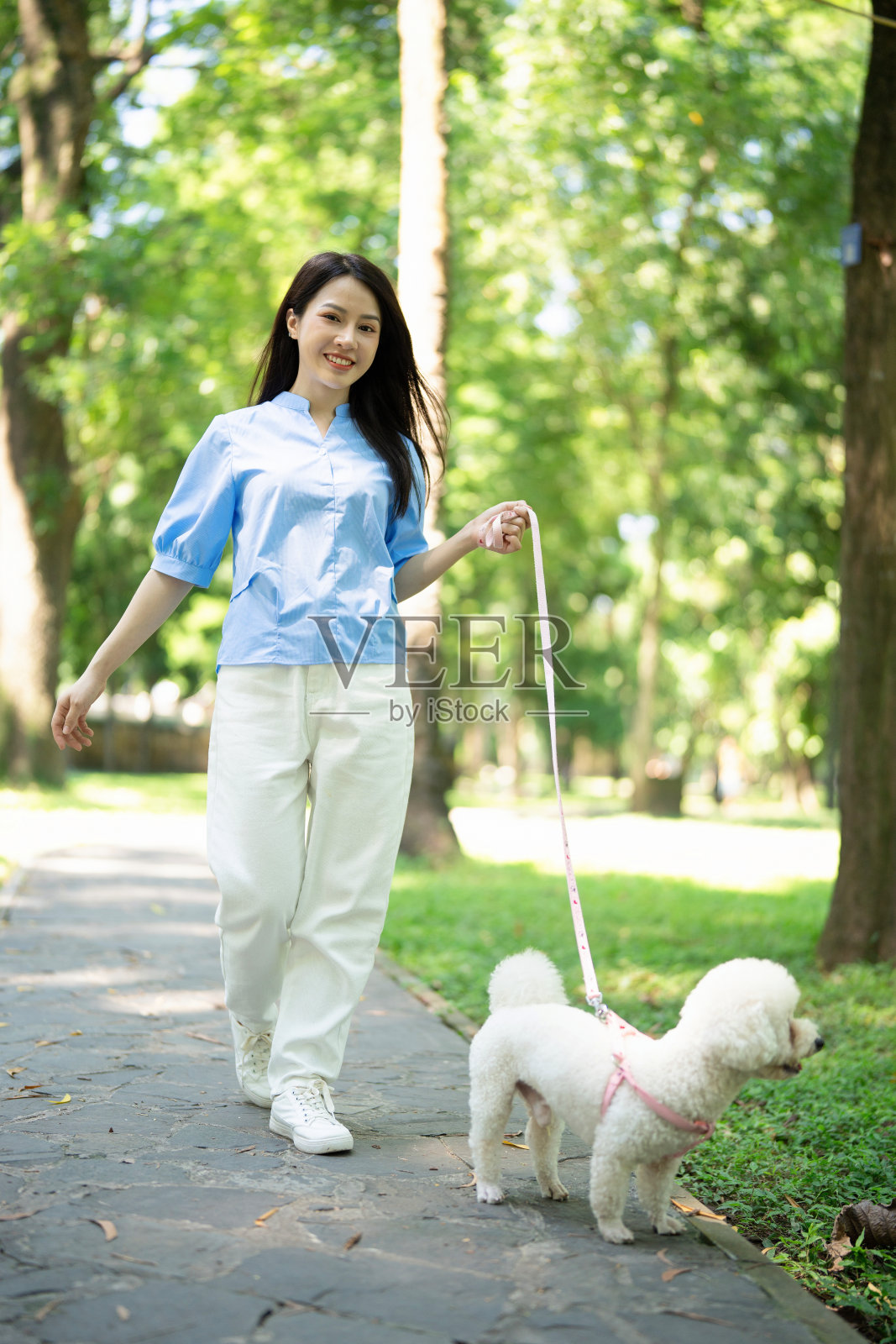 年轻的亚洲女孩和她的狗的照片照片摄影图片