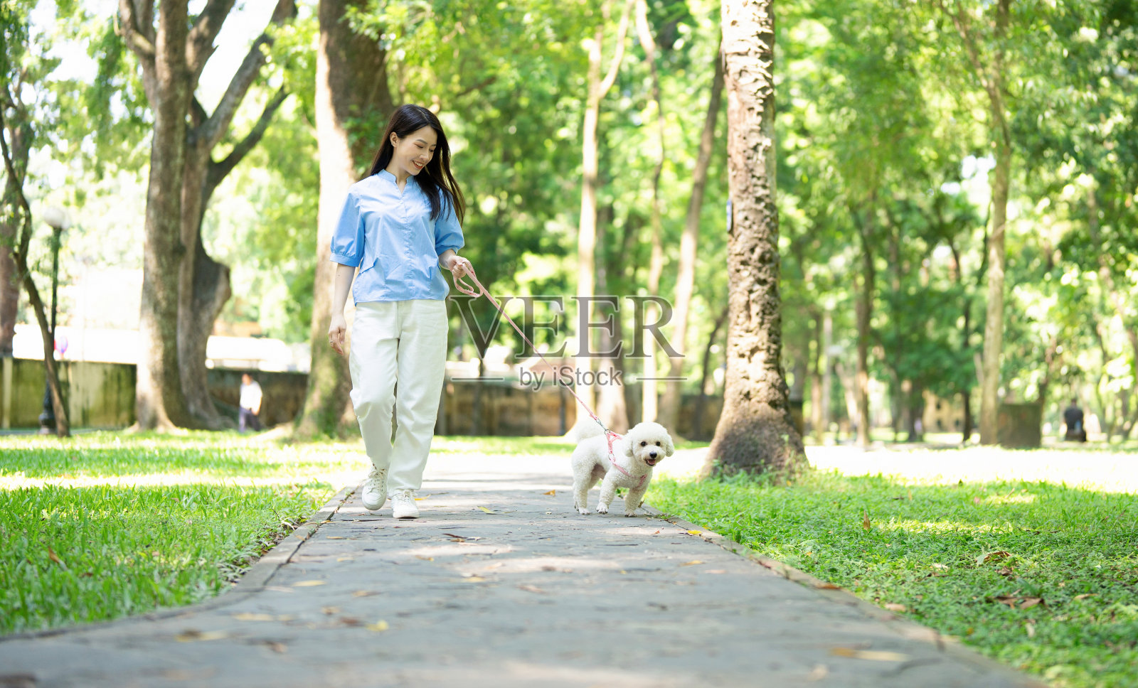 年轻的亚洲女孩和她的狗的照片照片摄影图片