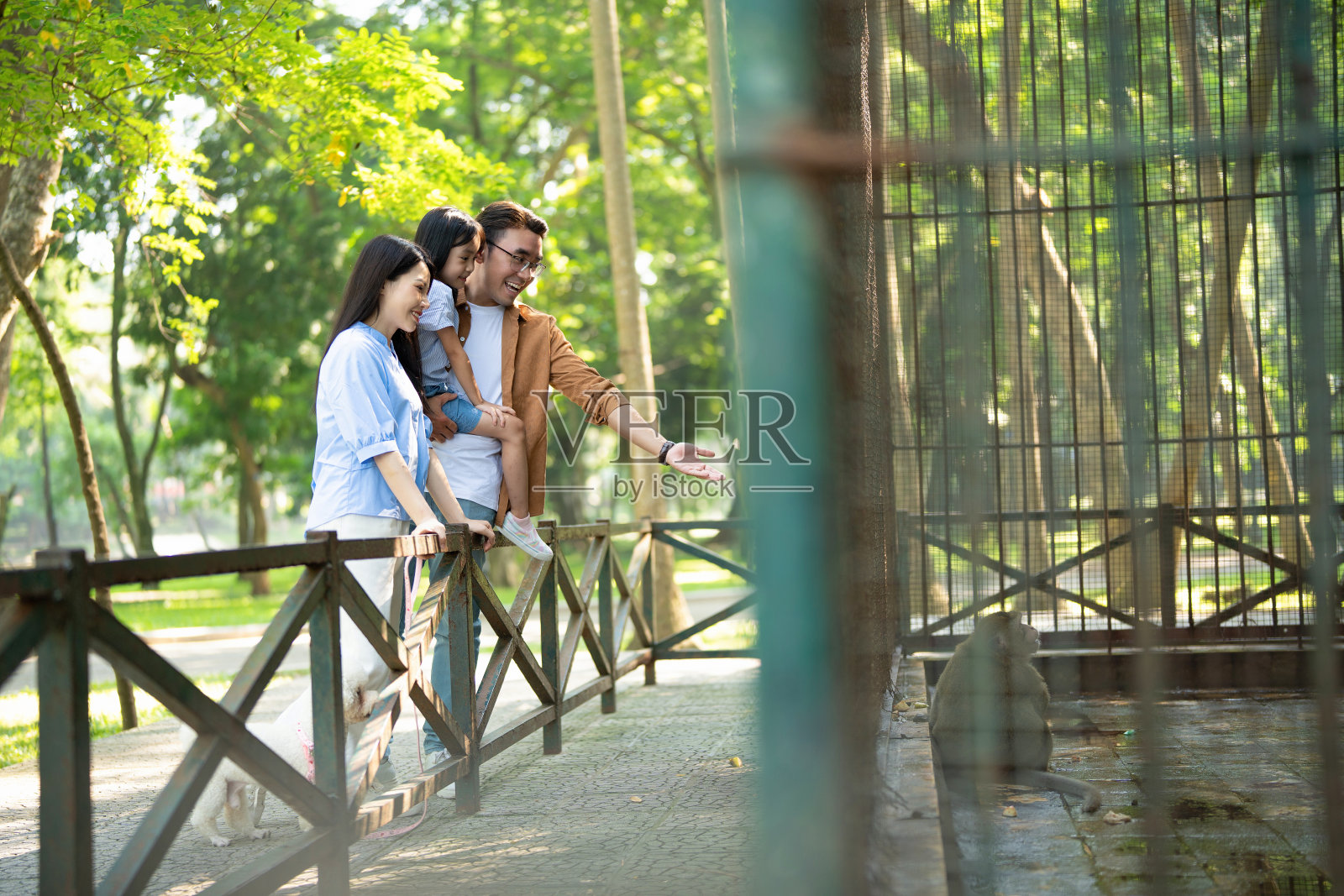 年轻的亚洲家庭在公园的照片照片摄影图片