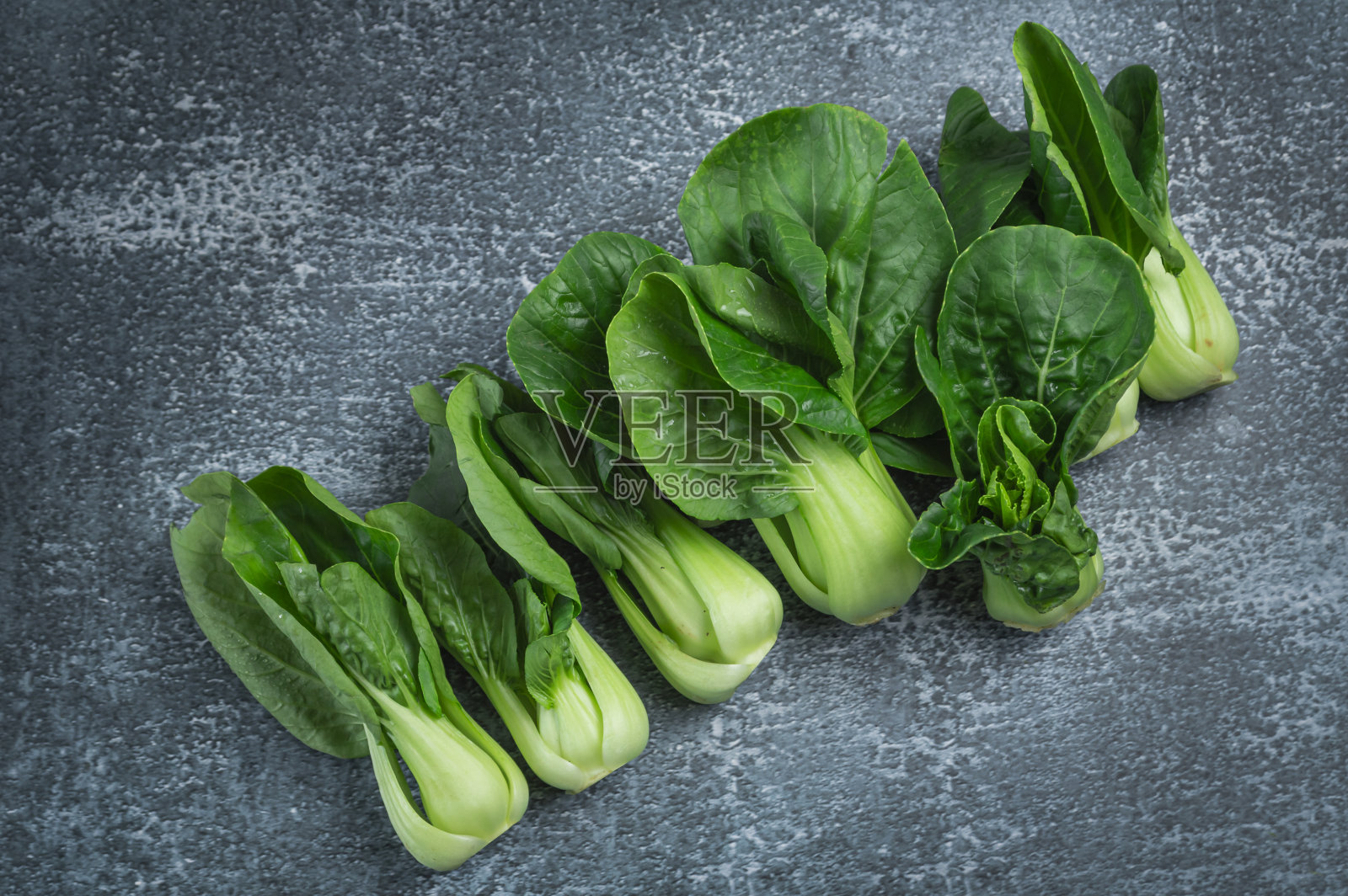 灰色背景上的鲜绿色白菜照片摄影图片