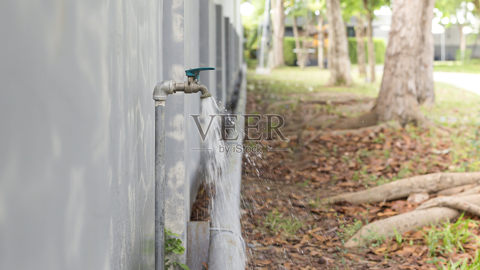 关掉草坪上的水龙头。照片摄影图片