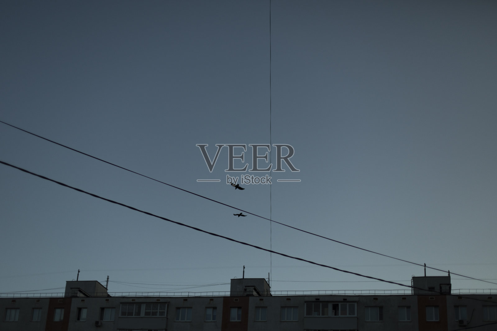 乌鸦飞过房子。天空中的鸟儿。电线通往大楼。照片摄影图片