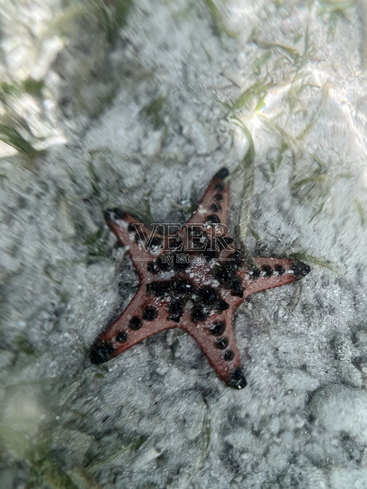 美丽的海峡在巴拉望岛，菲律宾照片摄影图片