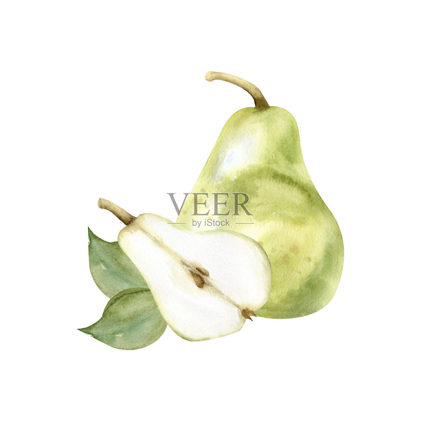 水彩手绘绿色梨和半切片插图。夏季水果用绿叶布置厨房，盘子，标签，标志设计。剪贴艺术的邀请，卡片，婚礼设计照片摄影图片