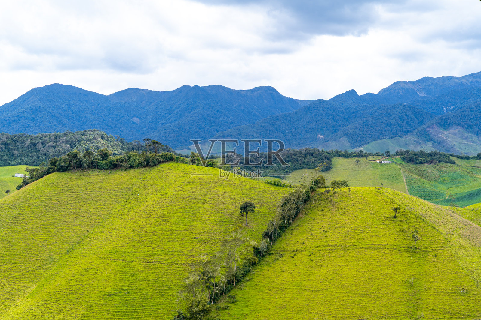 农业和畜牧业，高山和青山照片摄影图片