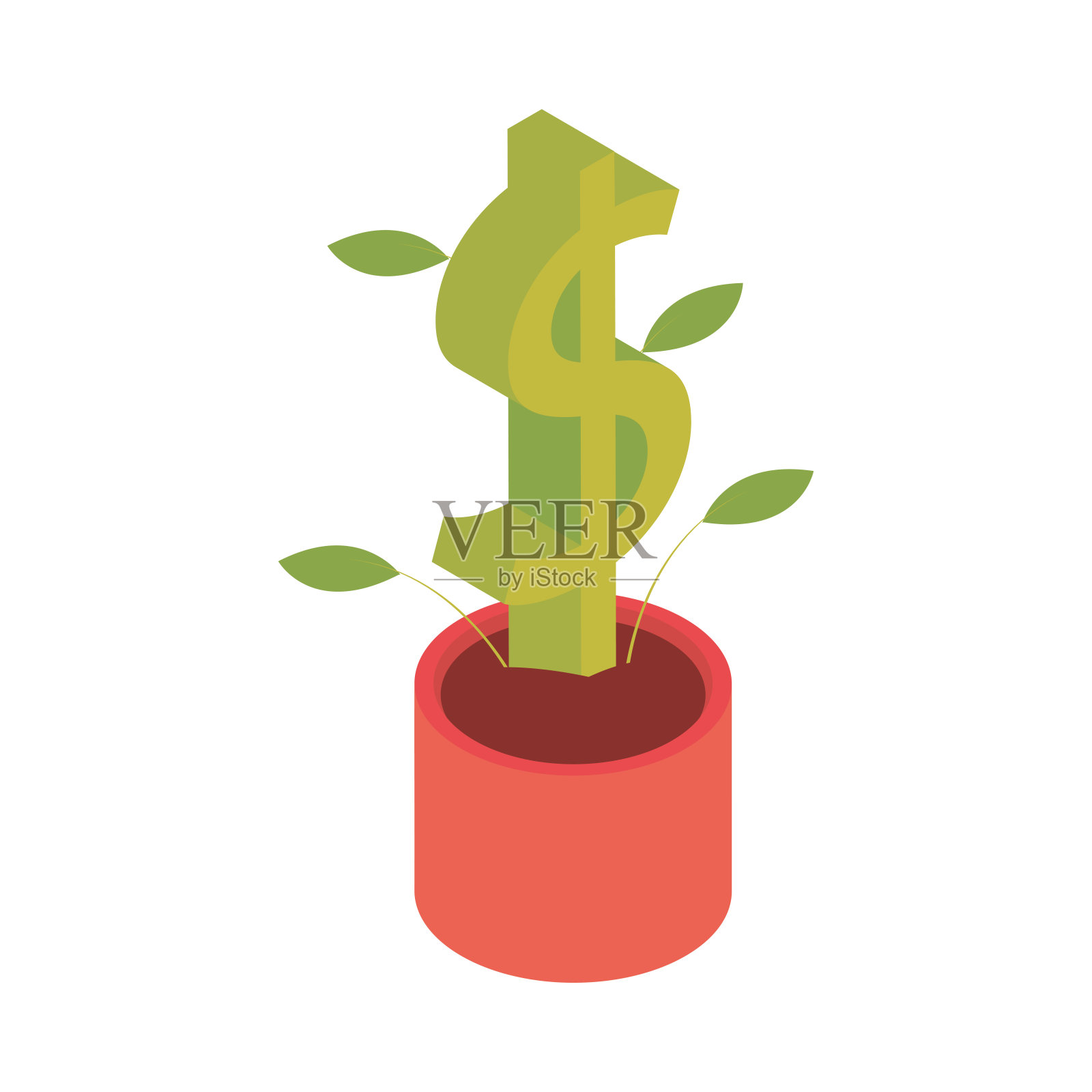 生长植物钱插画图片素材