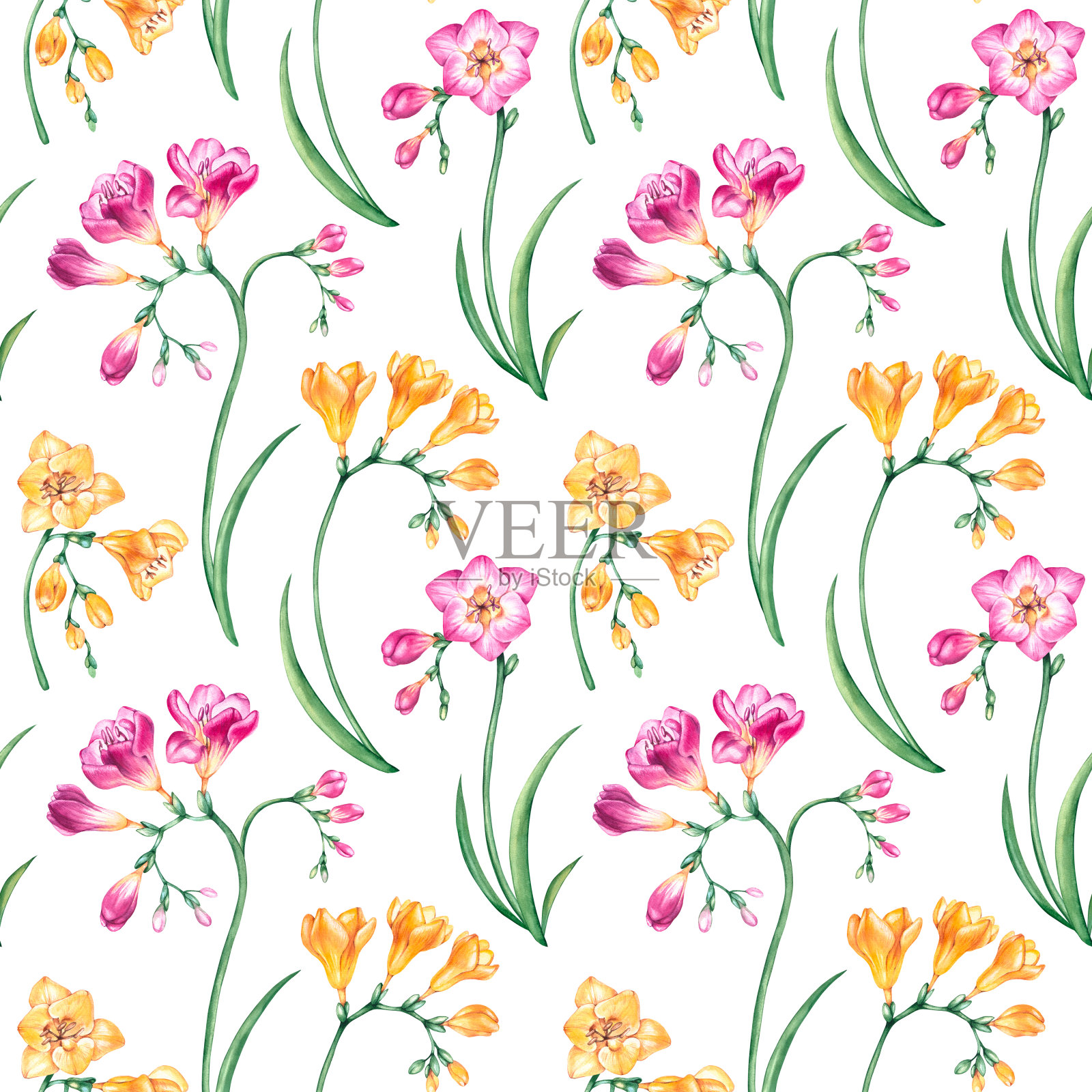 水彩无缝图案与小苍兰花的小枝在黄色和粉红色的颜色插画图片素材