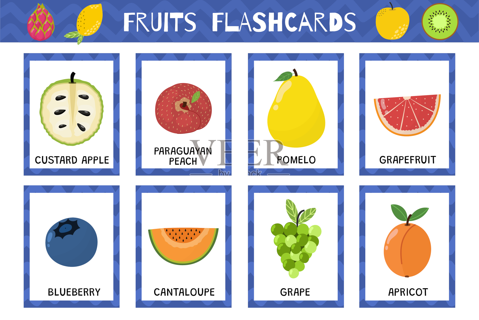 水果抽认卡收藏设计元素图片