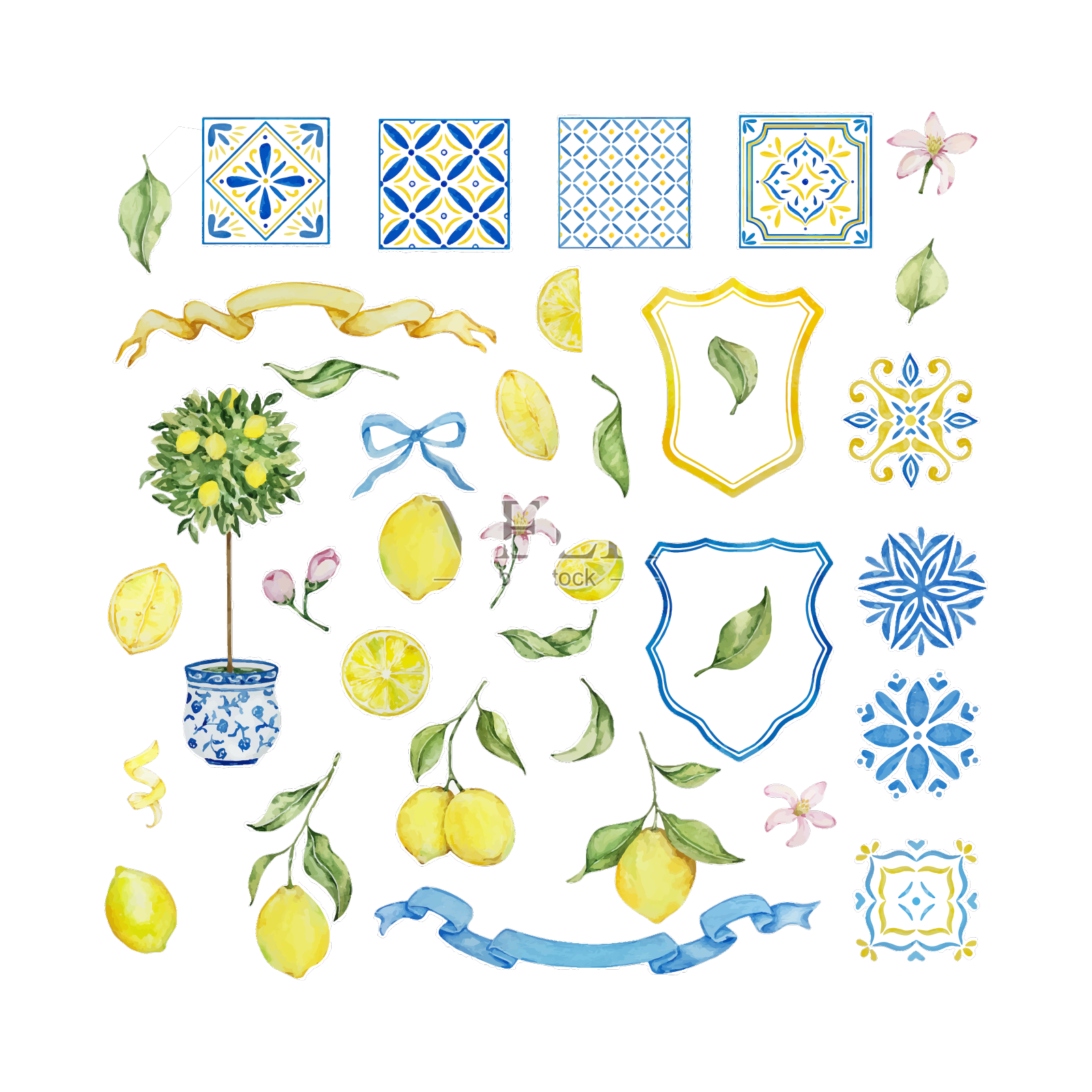 水彩地中海设置多汁柠檬叶设计元素图片