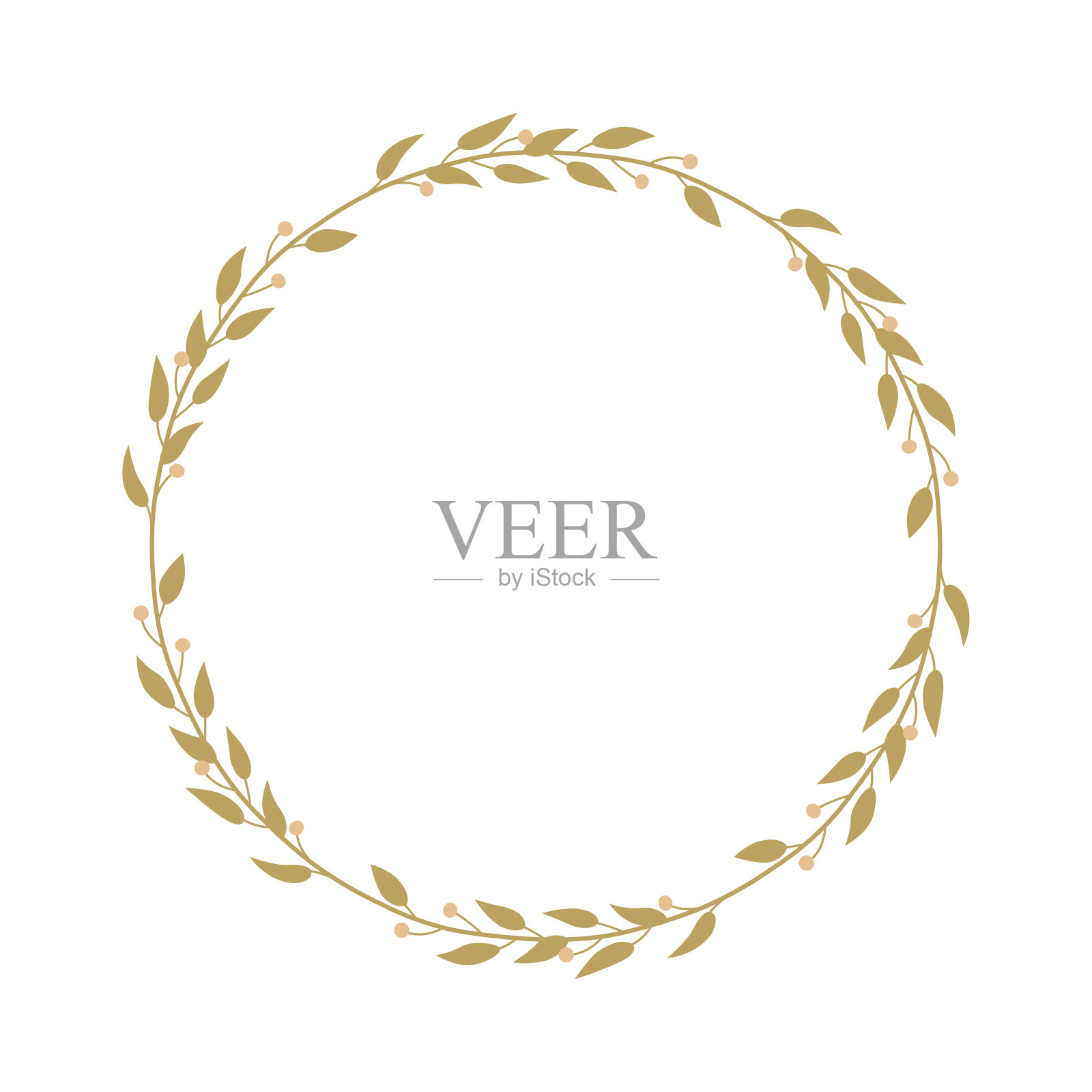 植物设计框架插画图片素材