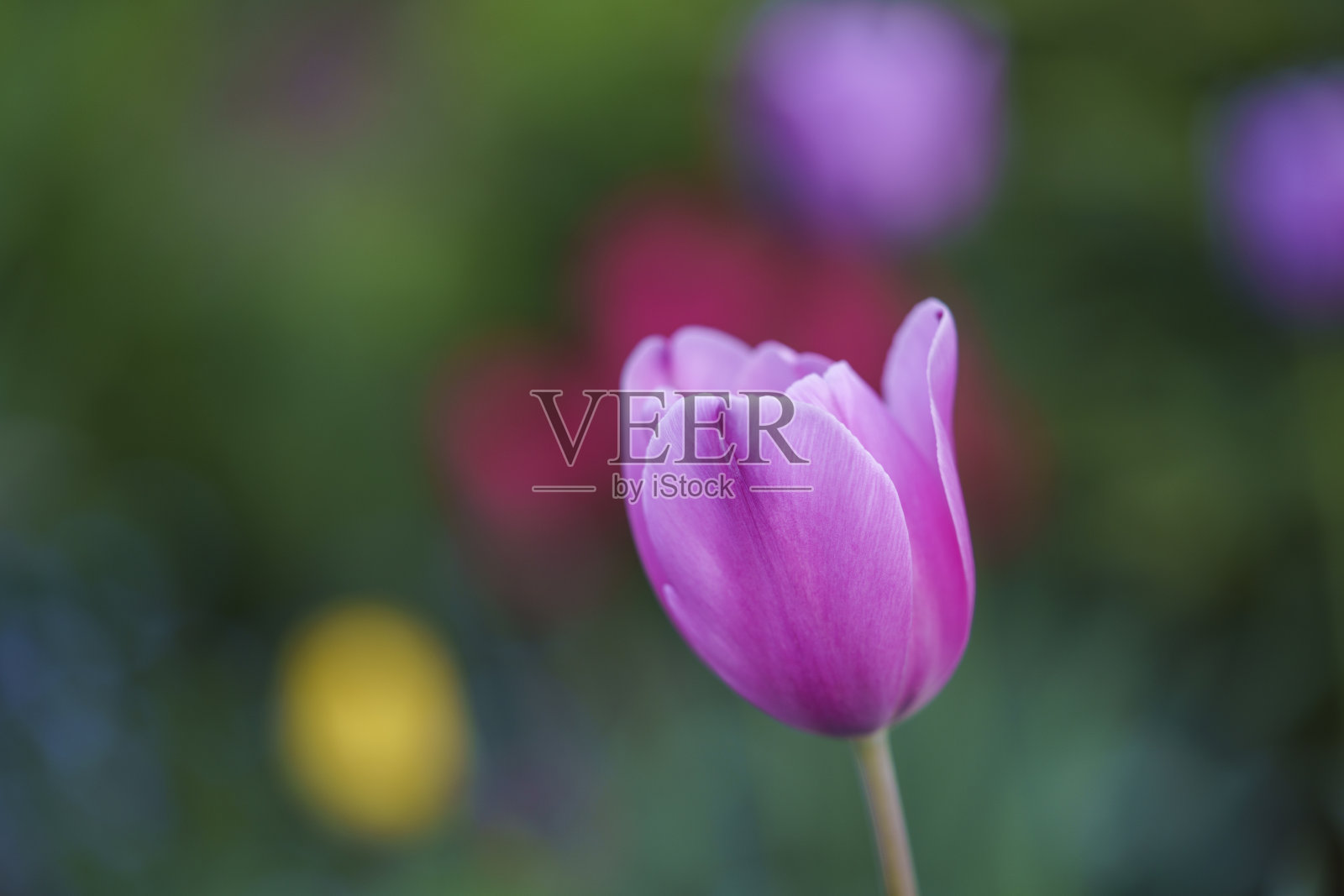 舒缓的空间照片摄影图片