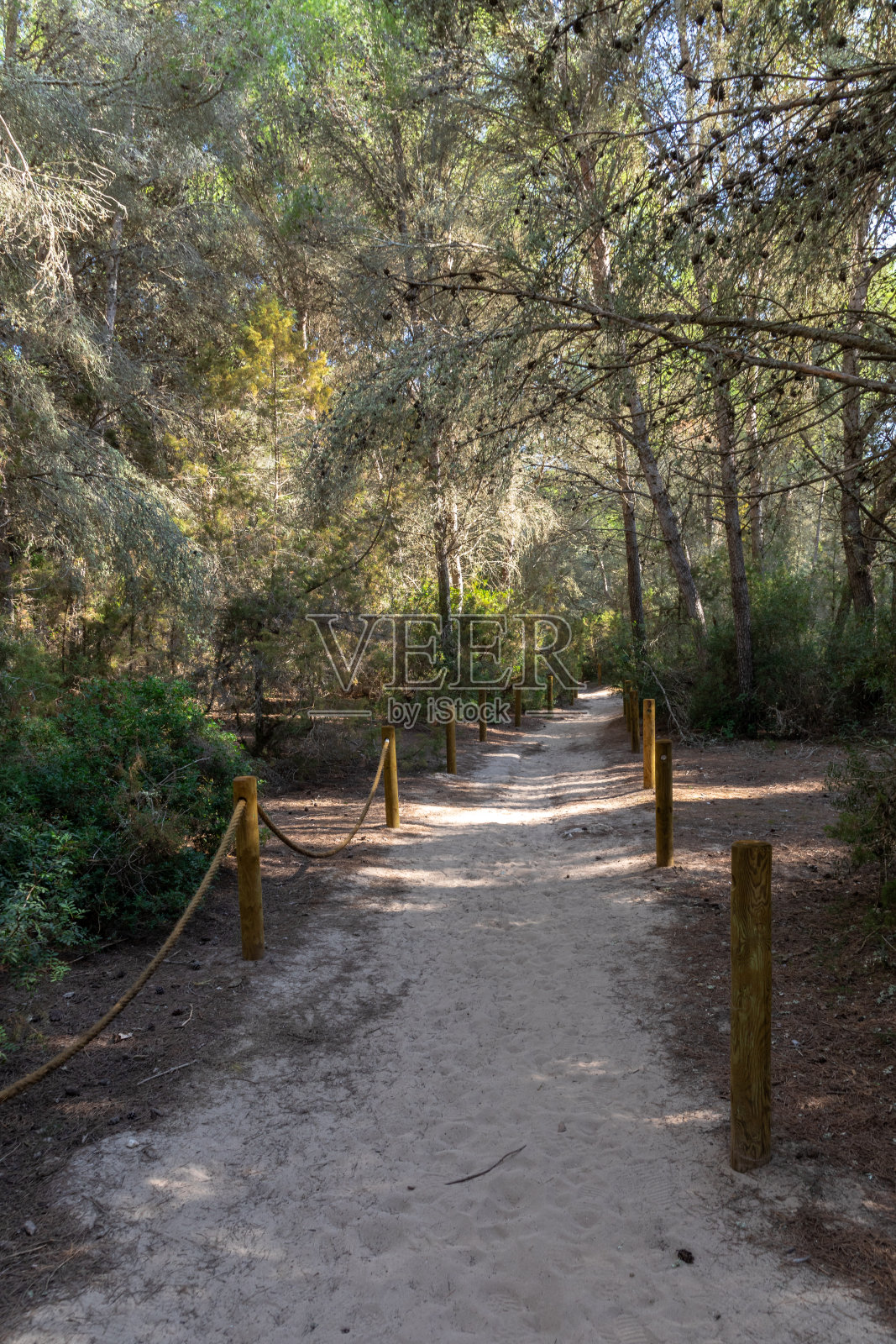 马略卡岛卡拉米勒附近自然保护区的徒步小径照片摄影图片