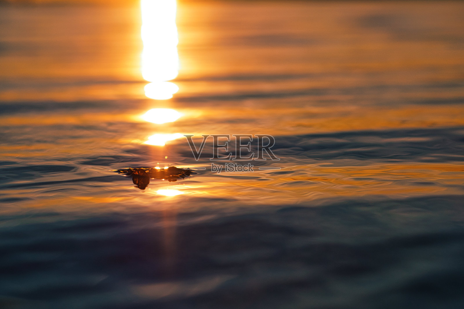 柏林万湖的景色。这个地方叫做大窗户。柏林照片摄影图片