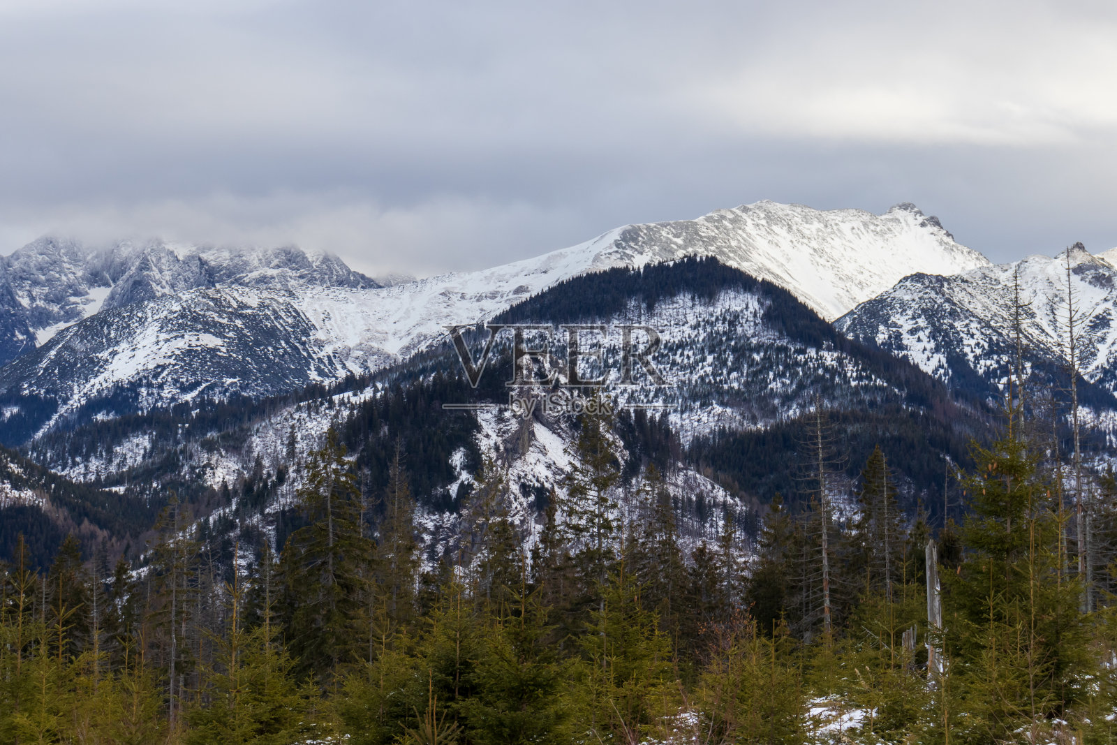 波兰塔特拉山脉令人惊叹的冬季景观。照片摄影图片