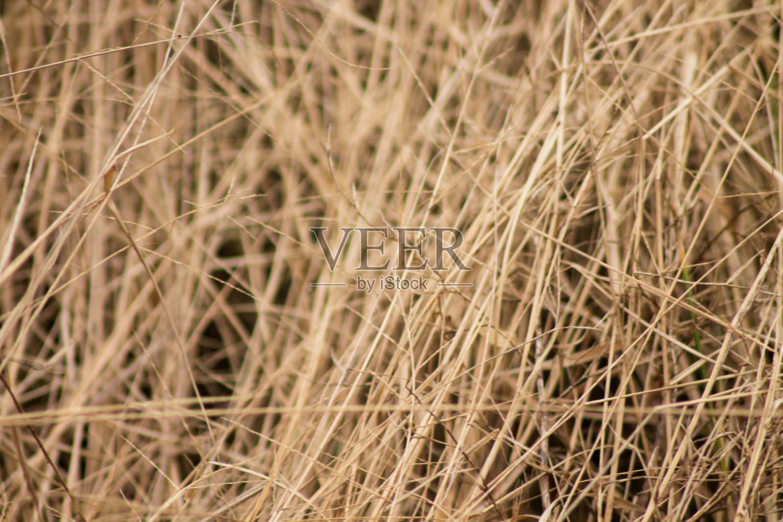 接近干草作为自然背景照片摄影图片