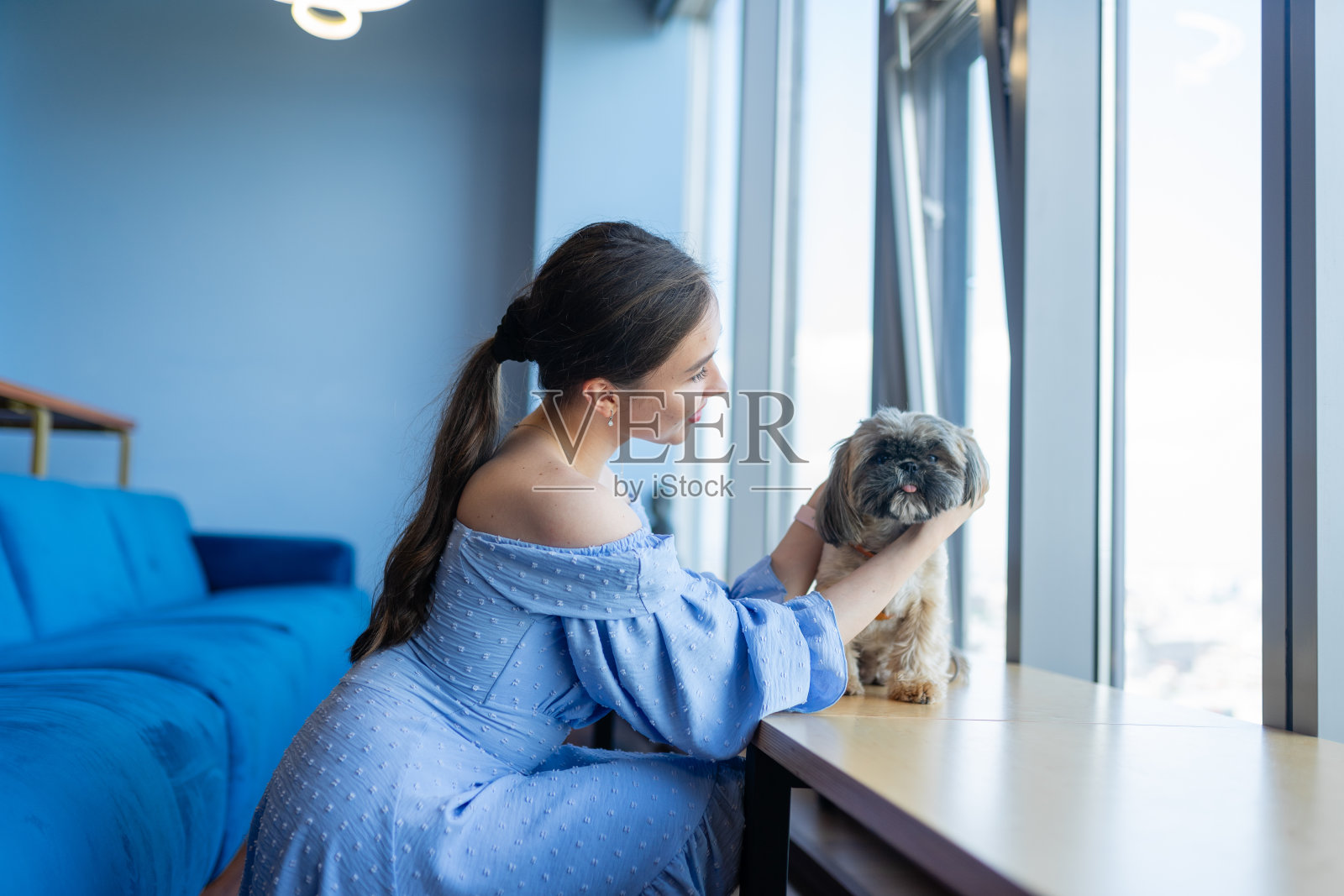 穿着优雅的办公室经理和宠物在公司办公室照片摄影图片